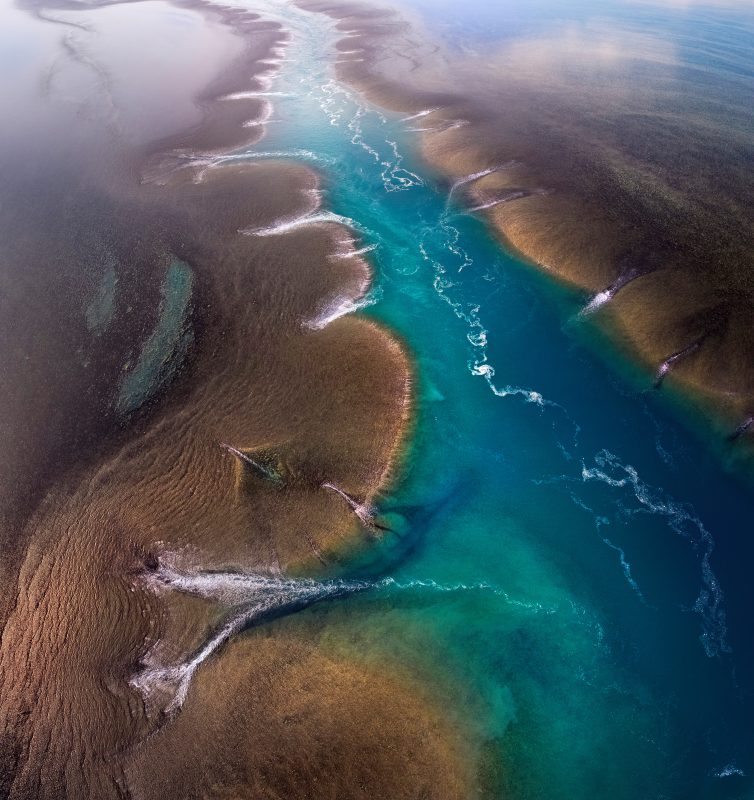 Montgomery Reef, Kimberley