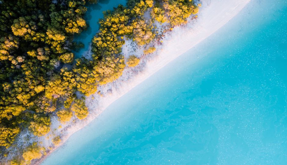 Header Image